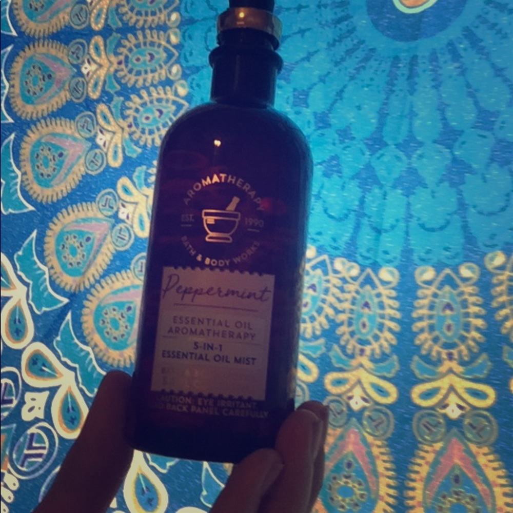 💗Aromatherapy (Bath and body works) peppermint.